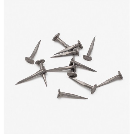 Semence nº16 - 250 g