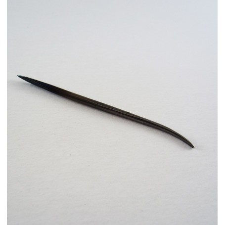 Lezna semirrecta nº1