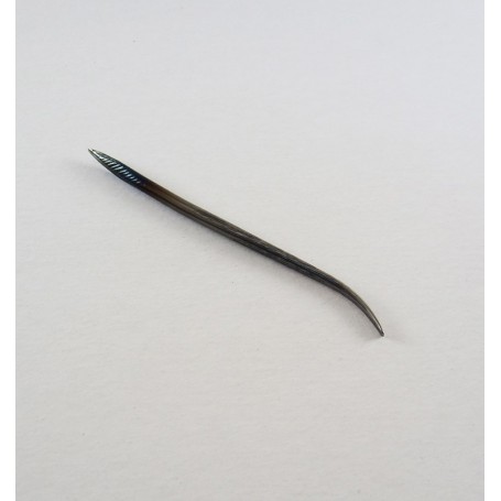 Lezna semirrecta nº2