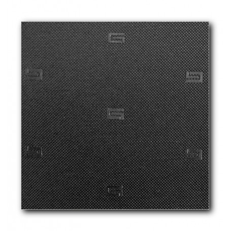 Plancha Gema (C. Alba)